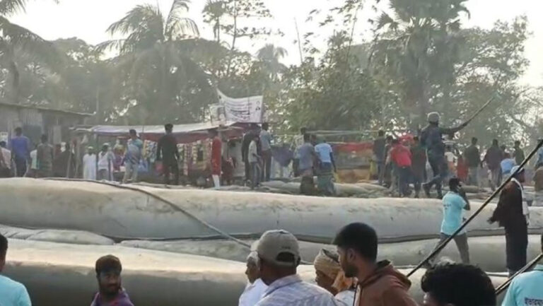 1769774783_c8dc7842c02c76bd4e7a