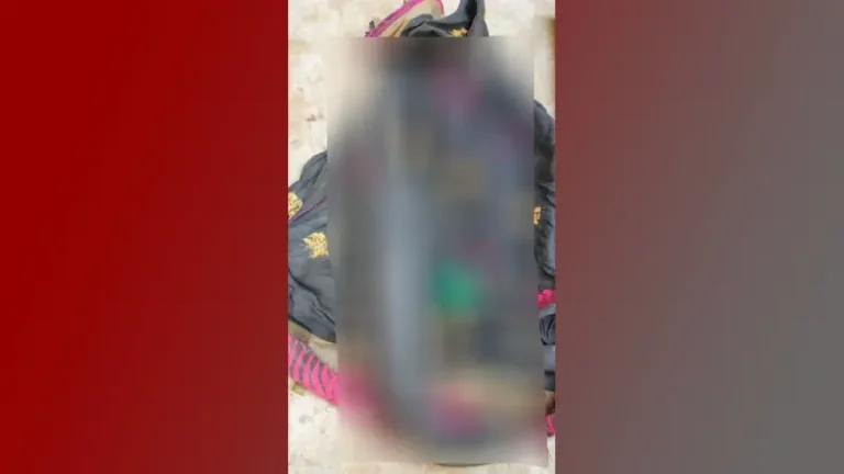 New Project (19)-698873351f41a