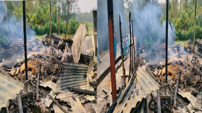 image_269170_1771938812