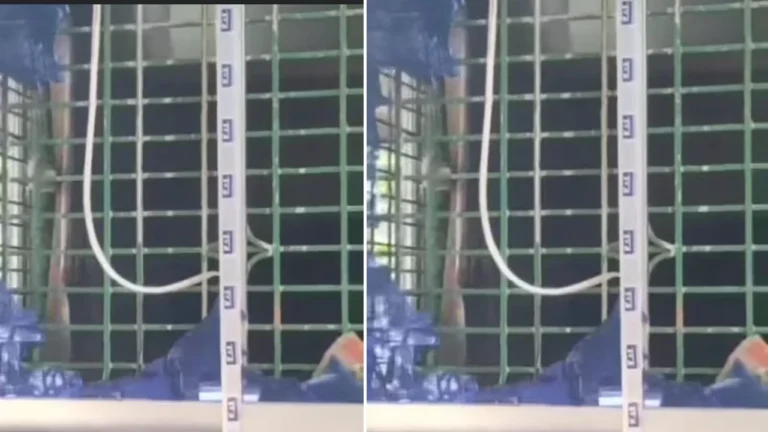 jeshore_news_pic_8KeWk8p