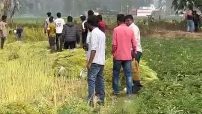 joypurhat-sorisa-kata-699b0583385a5