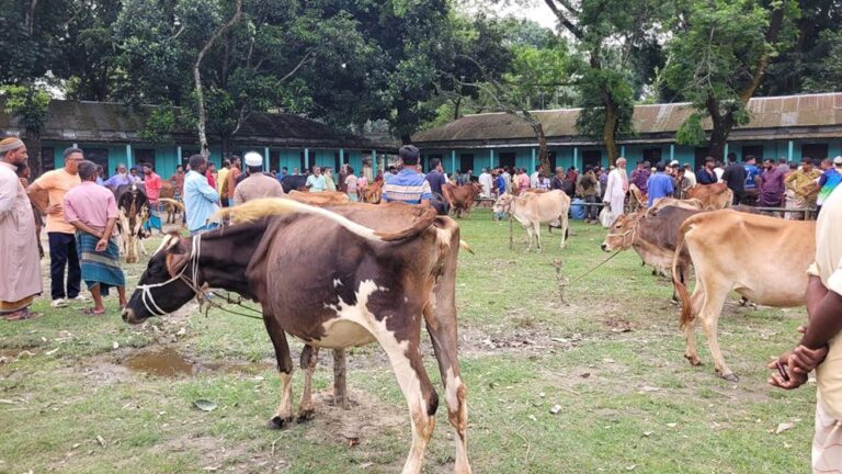 Kurigram-6a132e59f3ad2