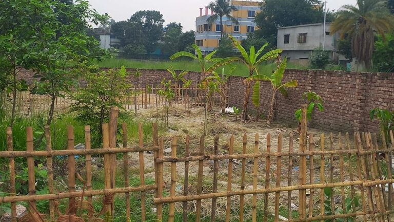 Rajshahi-Phoooto6--6a12eeb13e60b