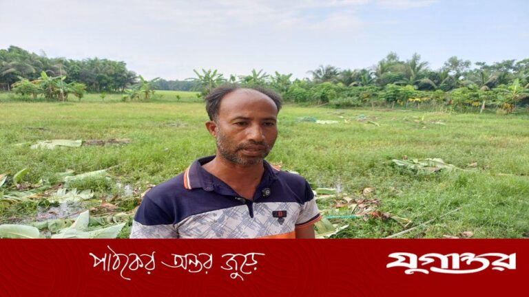 20260628-কৃষকের-লক্ষাধিক-টাকার-গাছ-কাটার-অভিযোগে-বিএনপি-নেতাসহ-৭-জনের-বিরুদ্ধে-মামলা