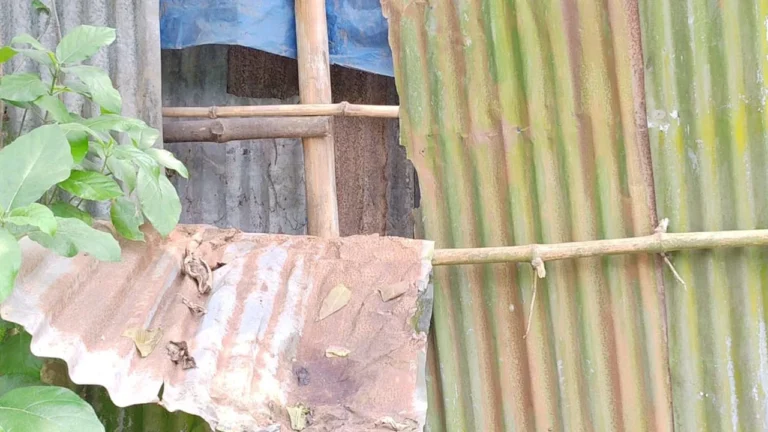 20260628-ড্রেনেজ-নিয়ে-স্বেচ্ছাসেবক-দল-ও-ছাত্রদল-নেতার-মারামারি