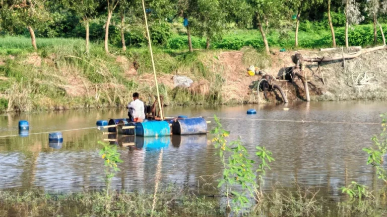 20260628-যুবদল-নেতার-বিরুদ্ধে-ফসলি-জমি-ধ্বংস-করে-মাটি-কাটার-অভিযোগ