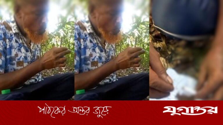 20260802-বিএনপি-নেতার-গাঁজা-ইয়াবা-সেবন,-ভিডিও-ভাইরাল