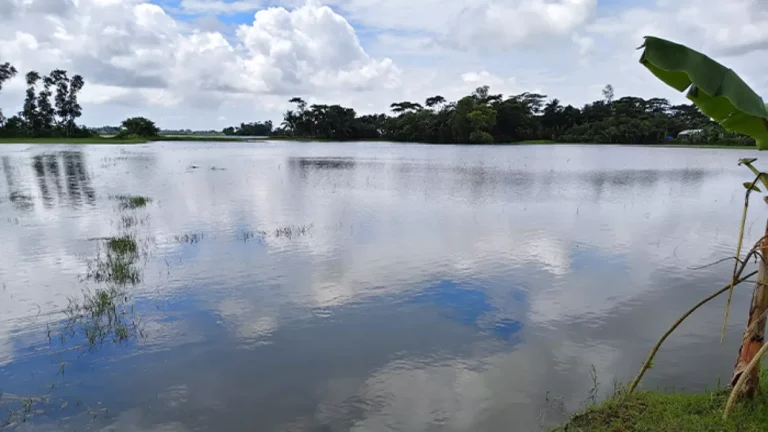 20260818-সরকারি-খালের-মুখে-বাঁধ-দিলেন-বিএনপি-নেতা