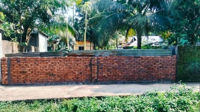 20260919-কমলনগরে-ইউনিয়ন-বিএনপি-সভাপতির-বিরুদ্ধে-প্রবাসী-বিএনপি-নেতার-জমি-দখল-চেষ্টার-অভি